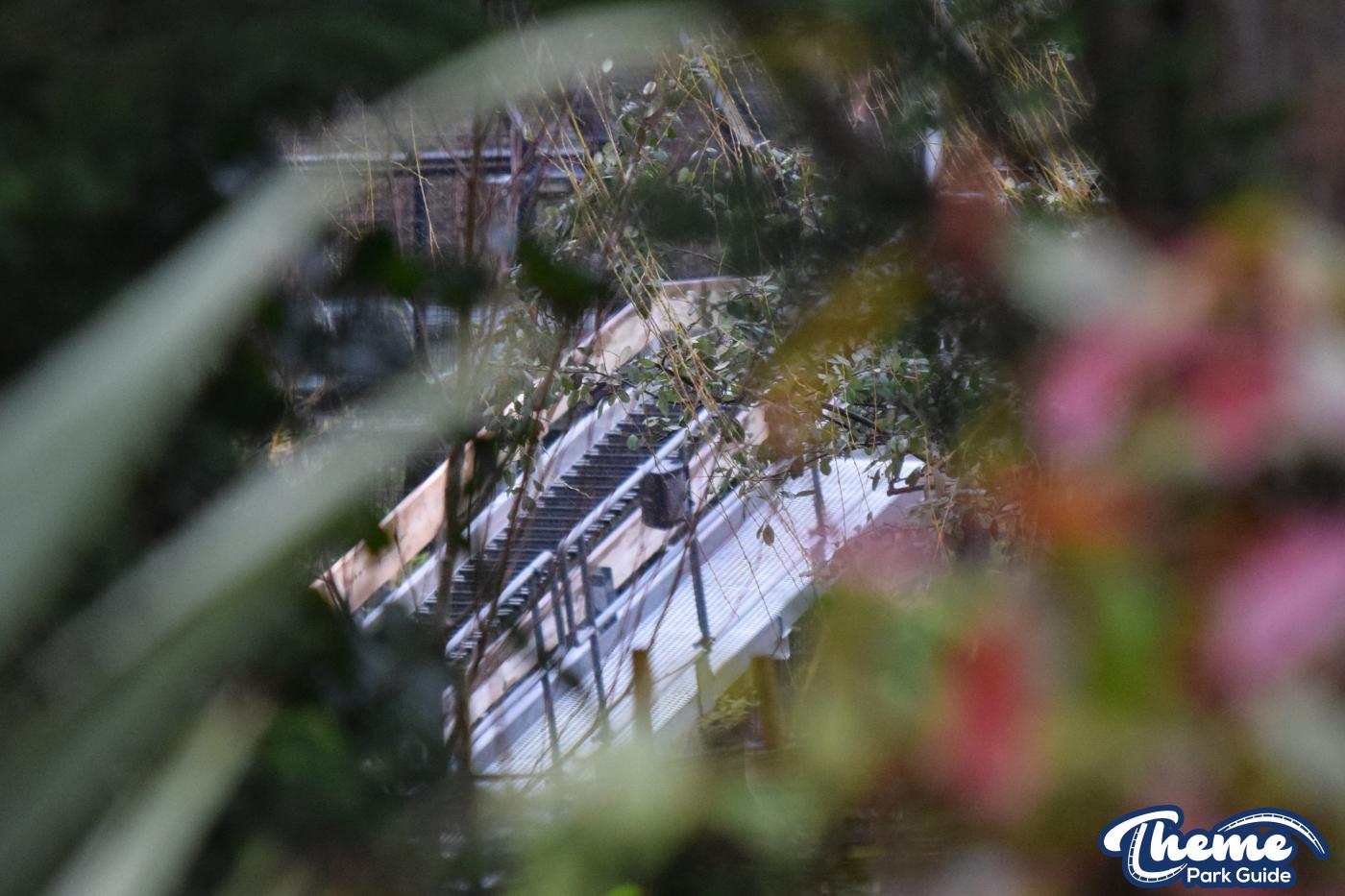 The Magic Returns To Chessington In 2020