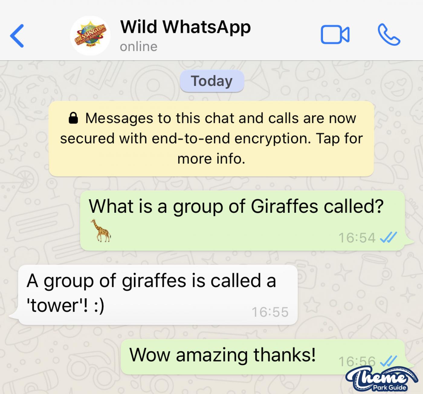 Chessington Launches Wild WhatsApp