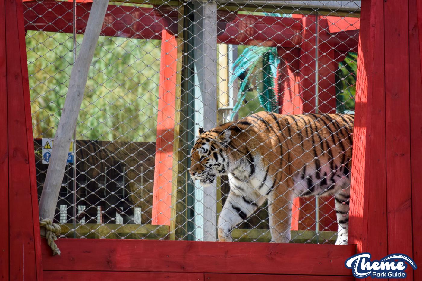 Land of the Tiger - Chessington World Of Adventures