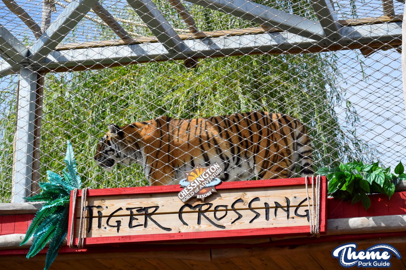 Land of the Tiger - Chessington World Of Adventures