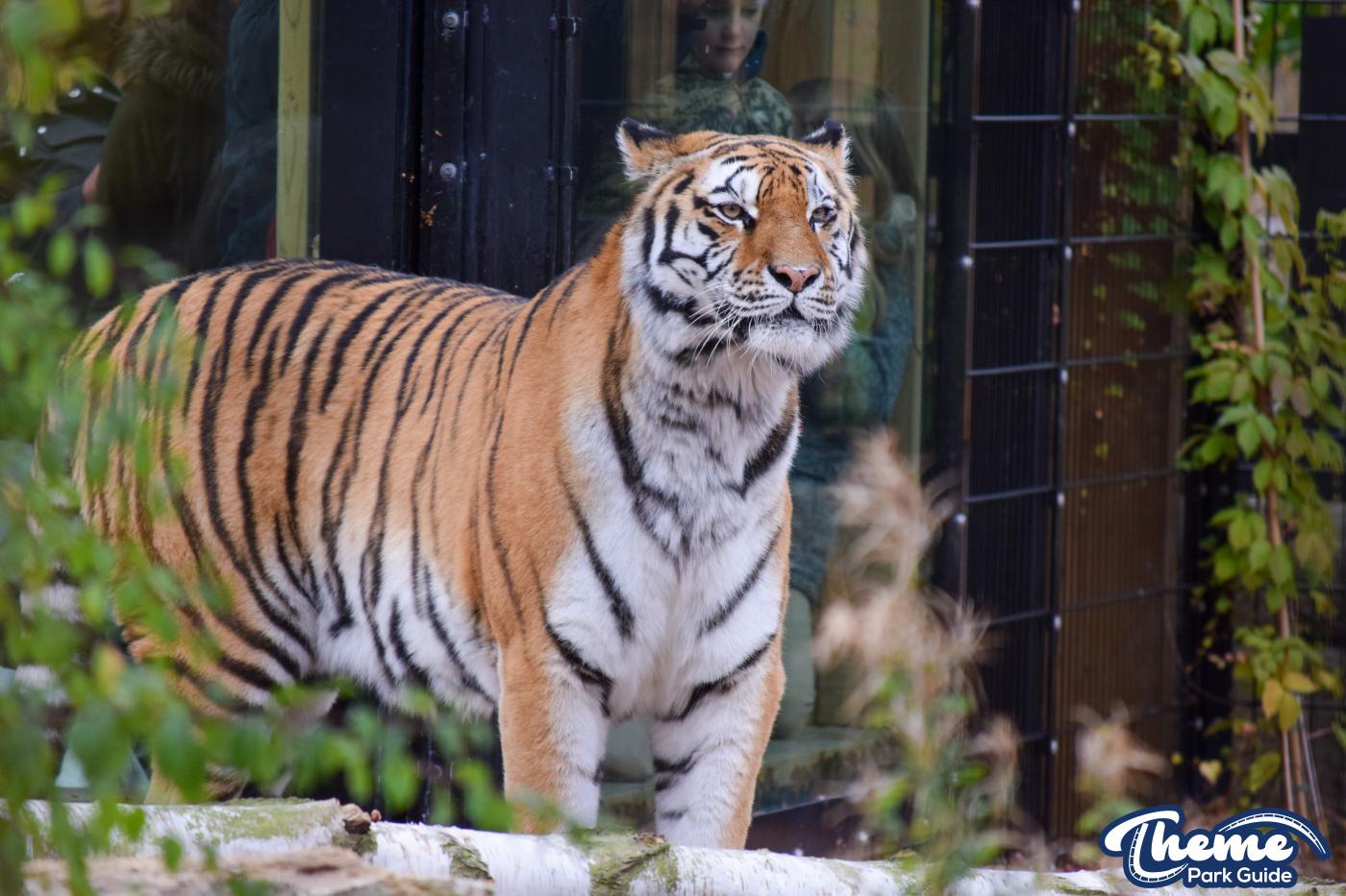 Learn Your Stripes -