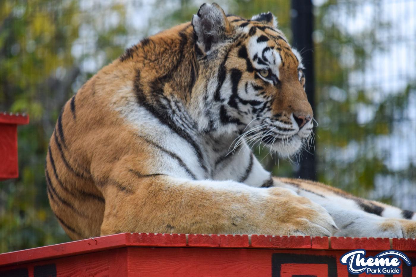 Learn Your Stripes -
