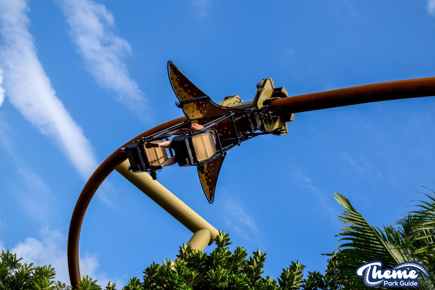 Pteranodon Flyers -  Islands Of Adventure