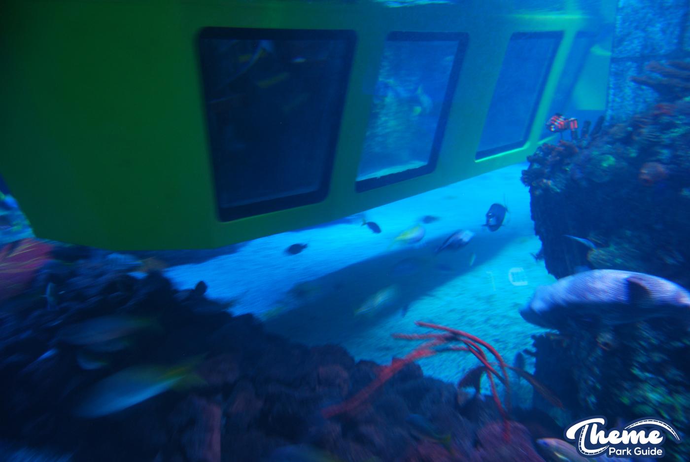 Atlantis Submarine Voyage -