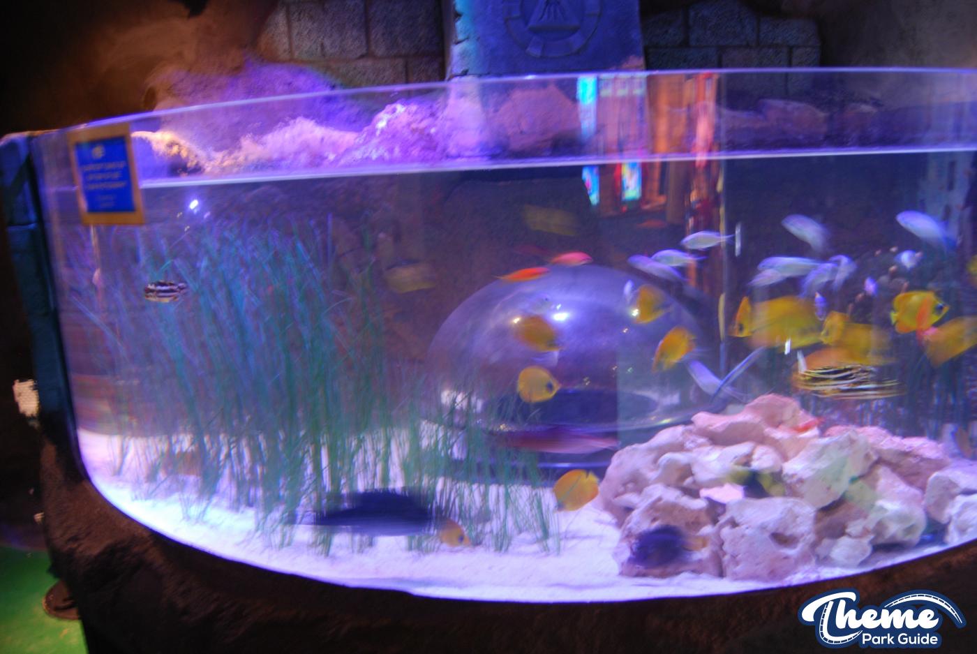 Atlantis Submarine Voyage -