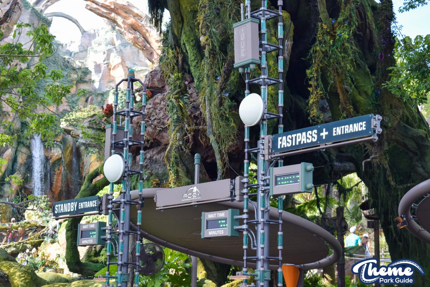 Pandora -  Animal Kingdom