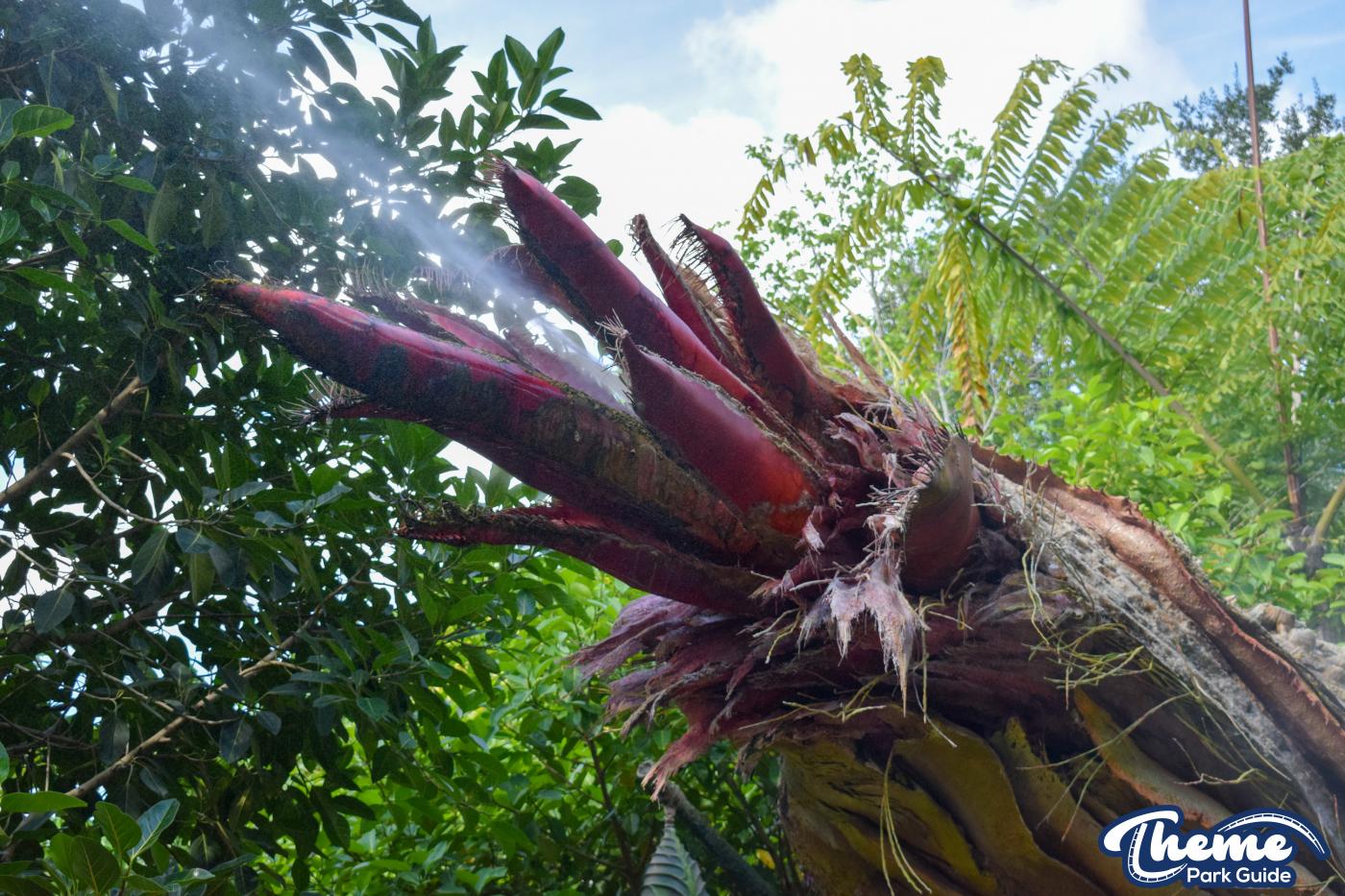Pandora -  Animal Kingdom
