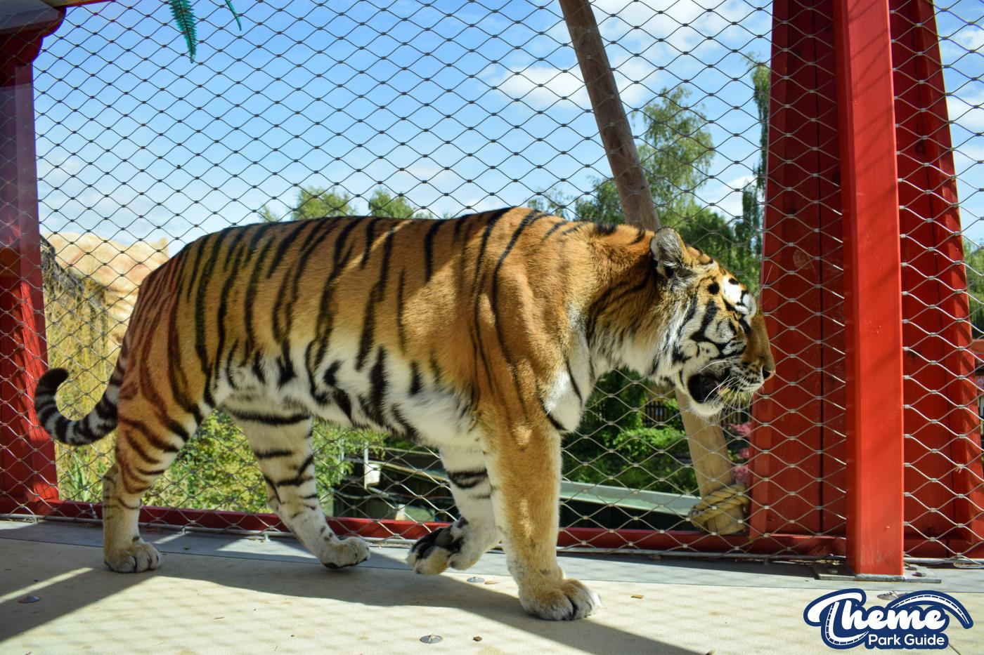 Learn Your Stripes -