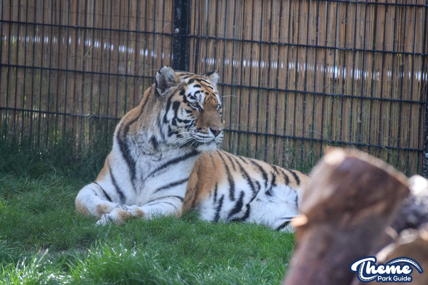 Learn Your Stripes -