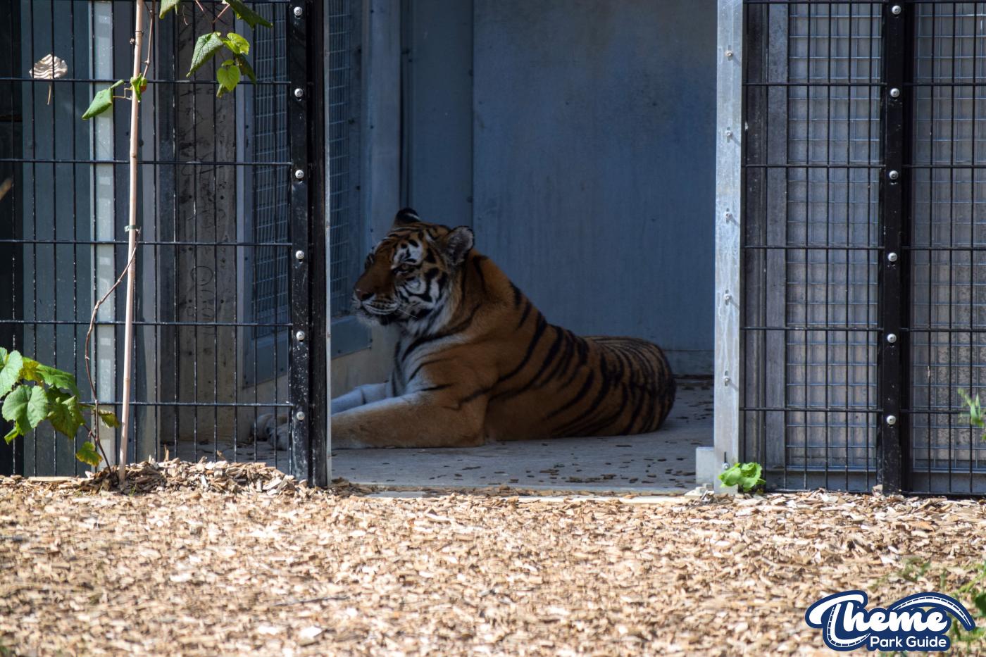 Learn Your Stripes -