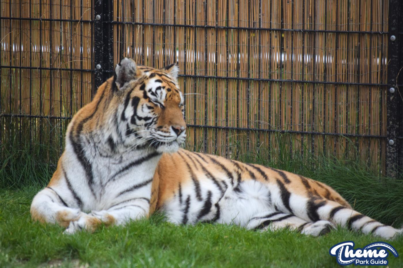 Learn Your Stripes -