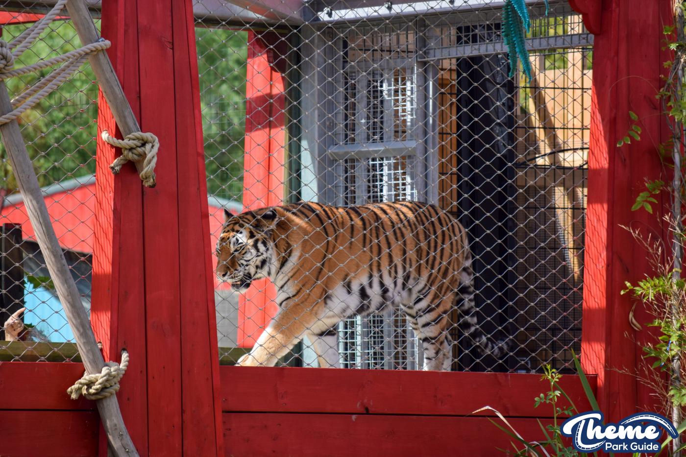 Learn Your Stripes -