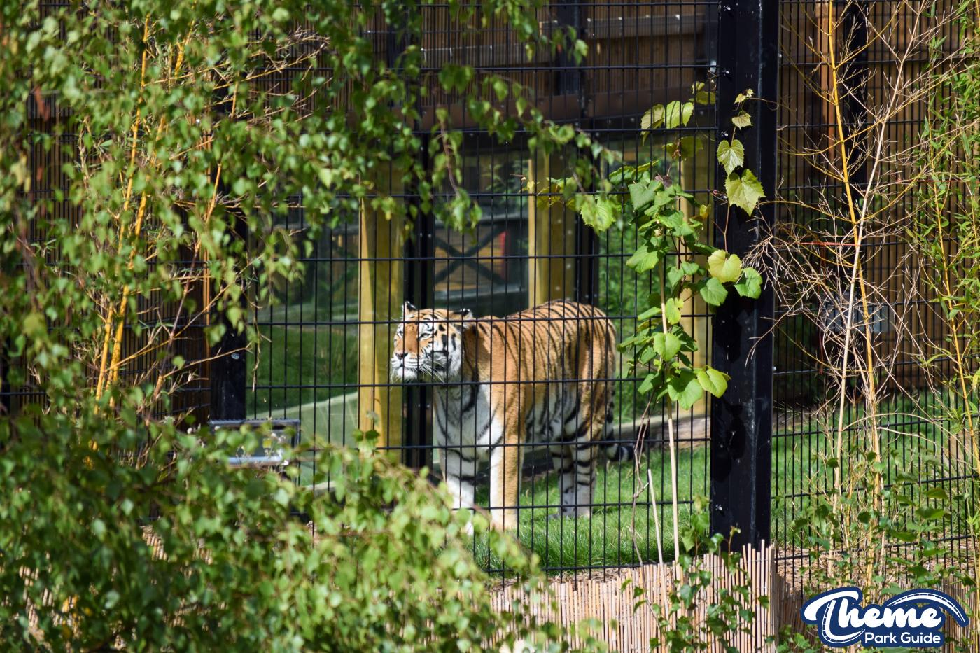 Learn Your Stripes -
