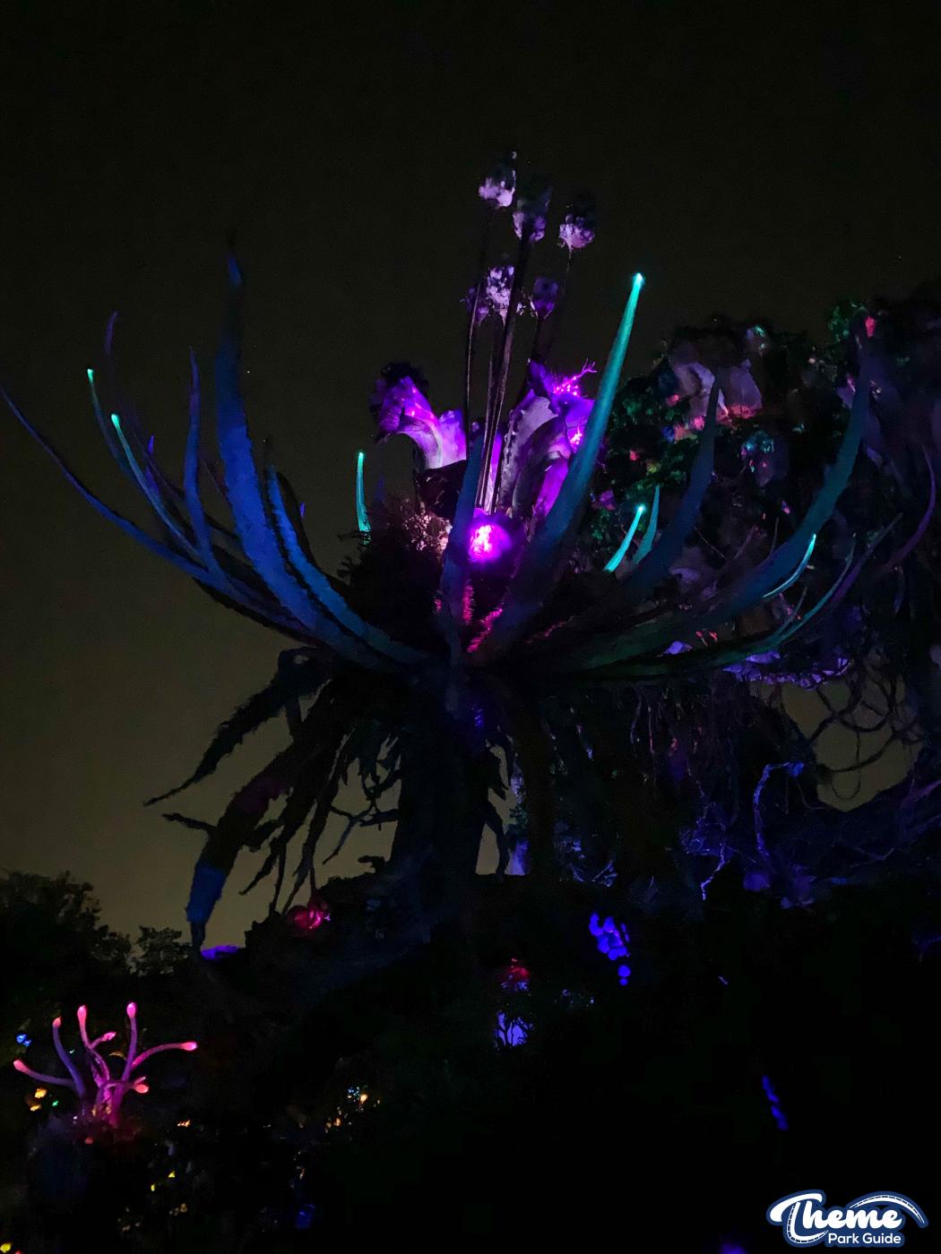 Pandora -  Animal Kingdom