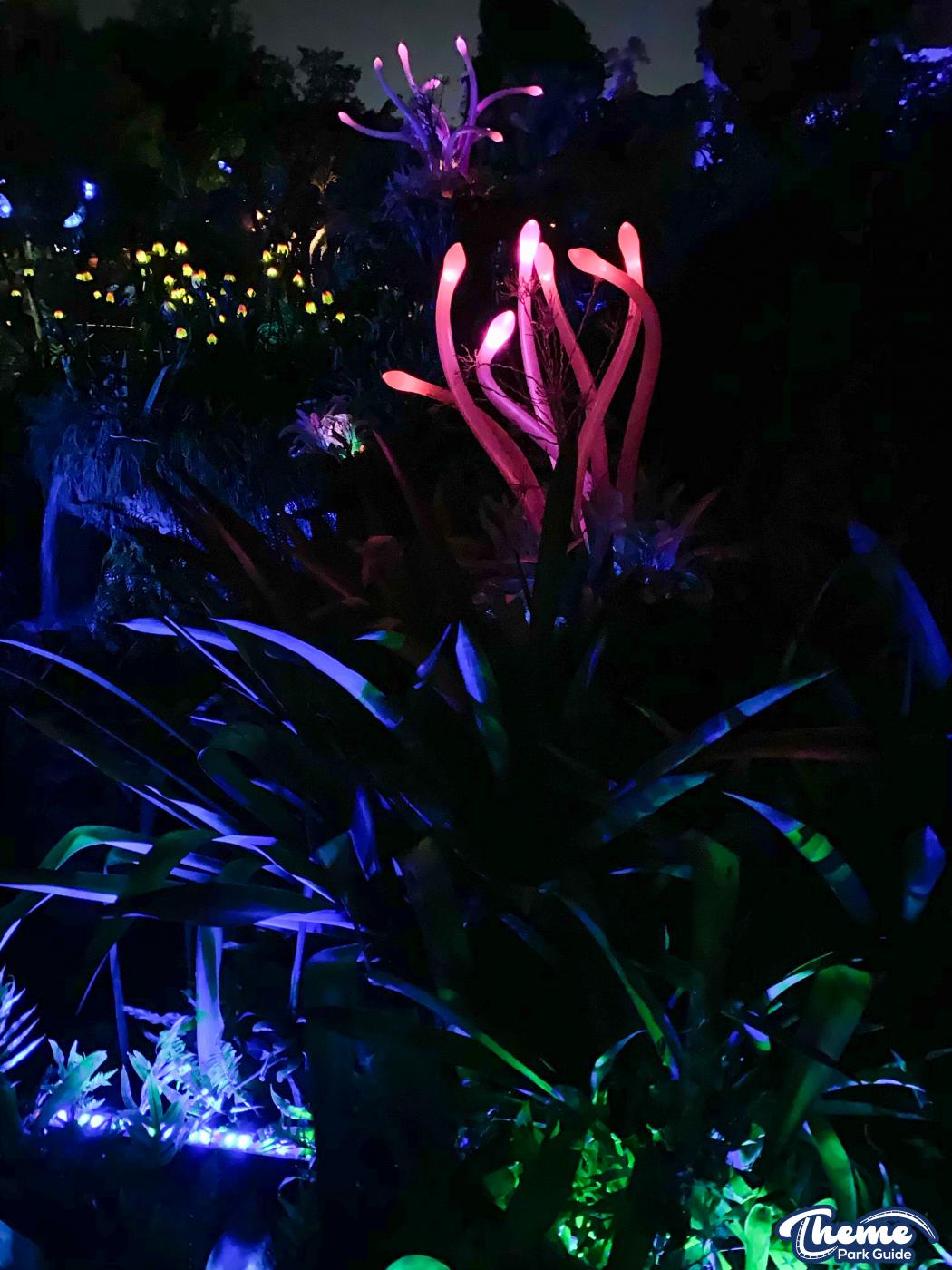 Pandora -  Animal Kingdom