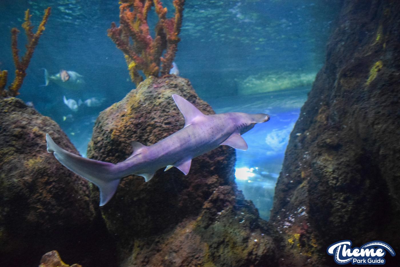 Chessington Zoo - Chessington World Of Adventures