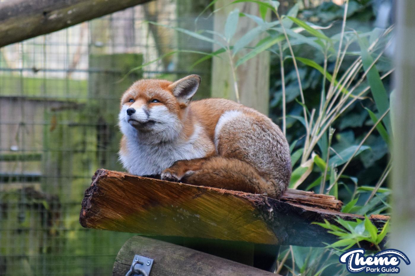 Chessington Zoo - Chessington World Of Adventures