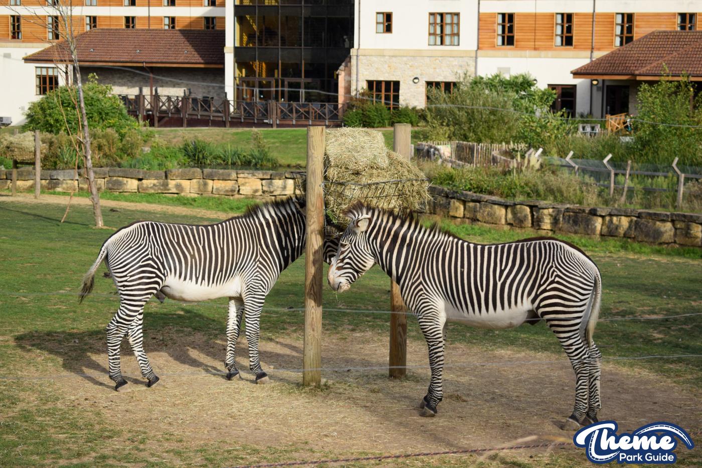 Chessington Zoo - Chessington World Of Adventures