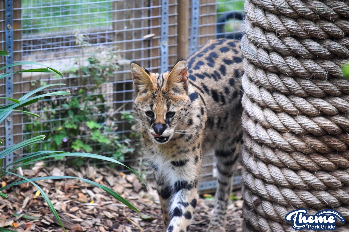 Chessington Zoo - Chessington World Of Adventures