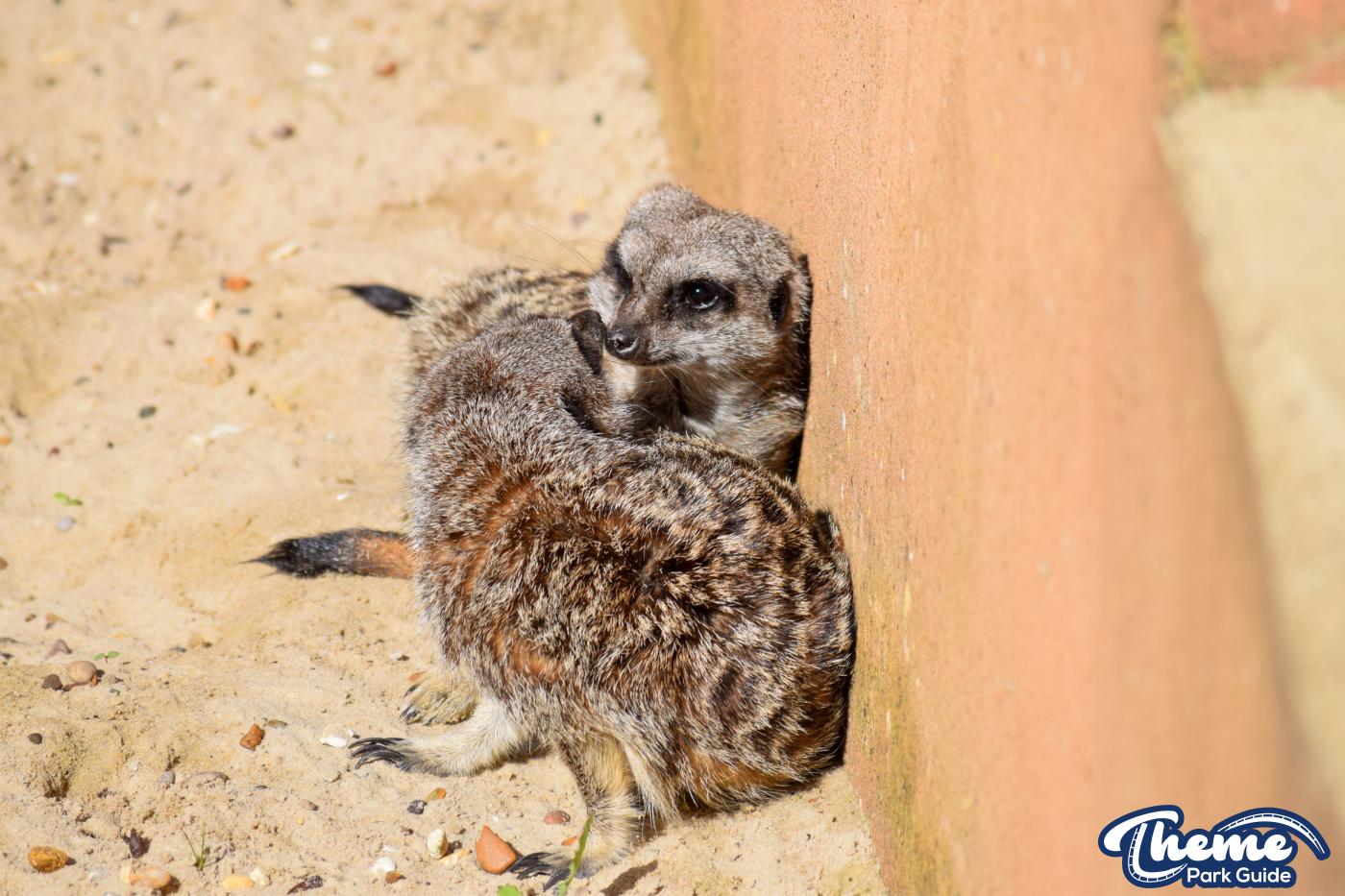 Chessington Zoo - Chessington World Of Adventures