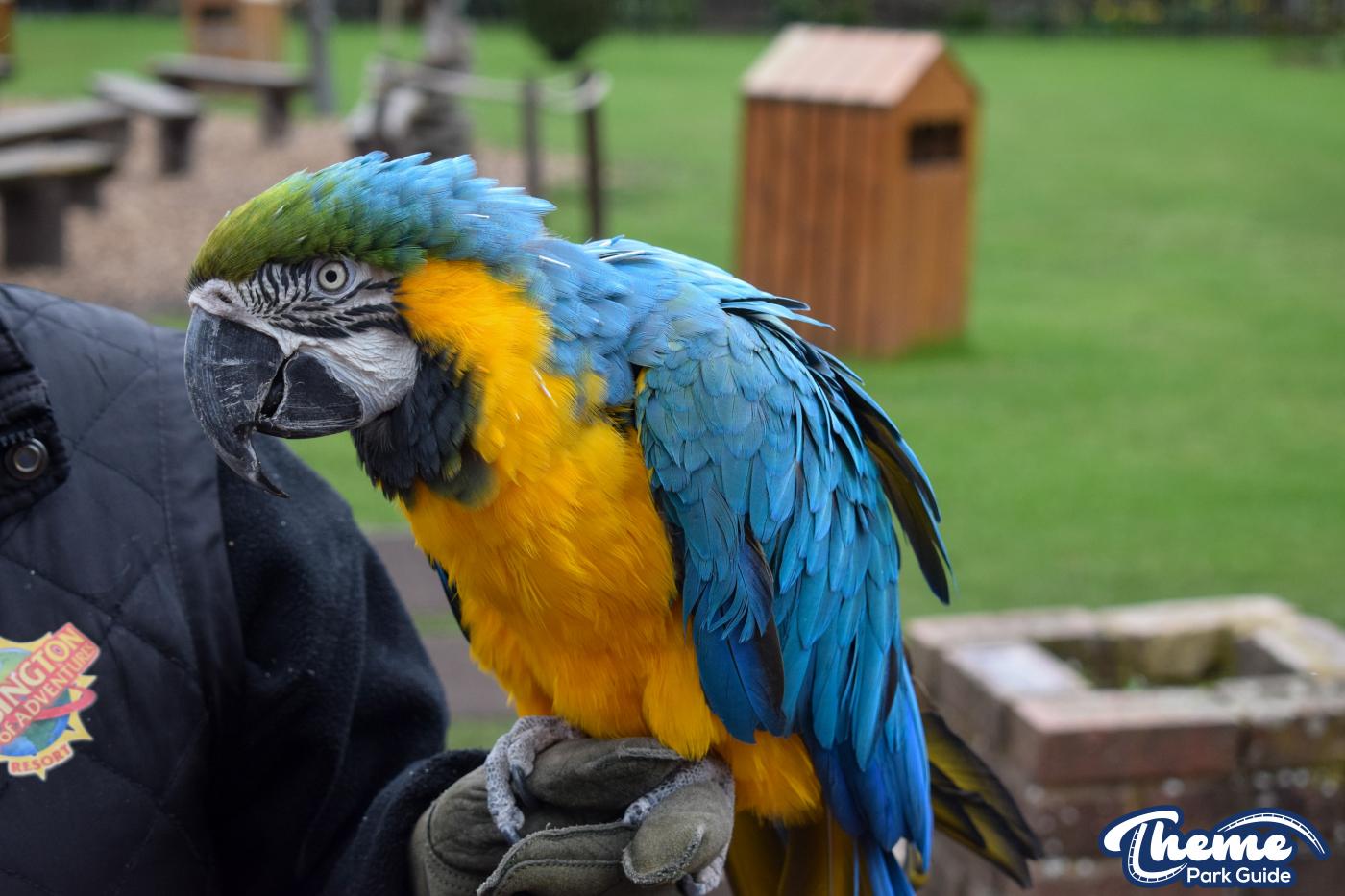 Chessington Zoo - Chessington World Of Adventures