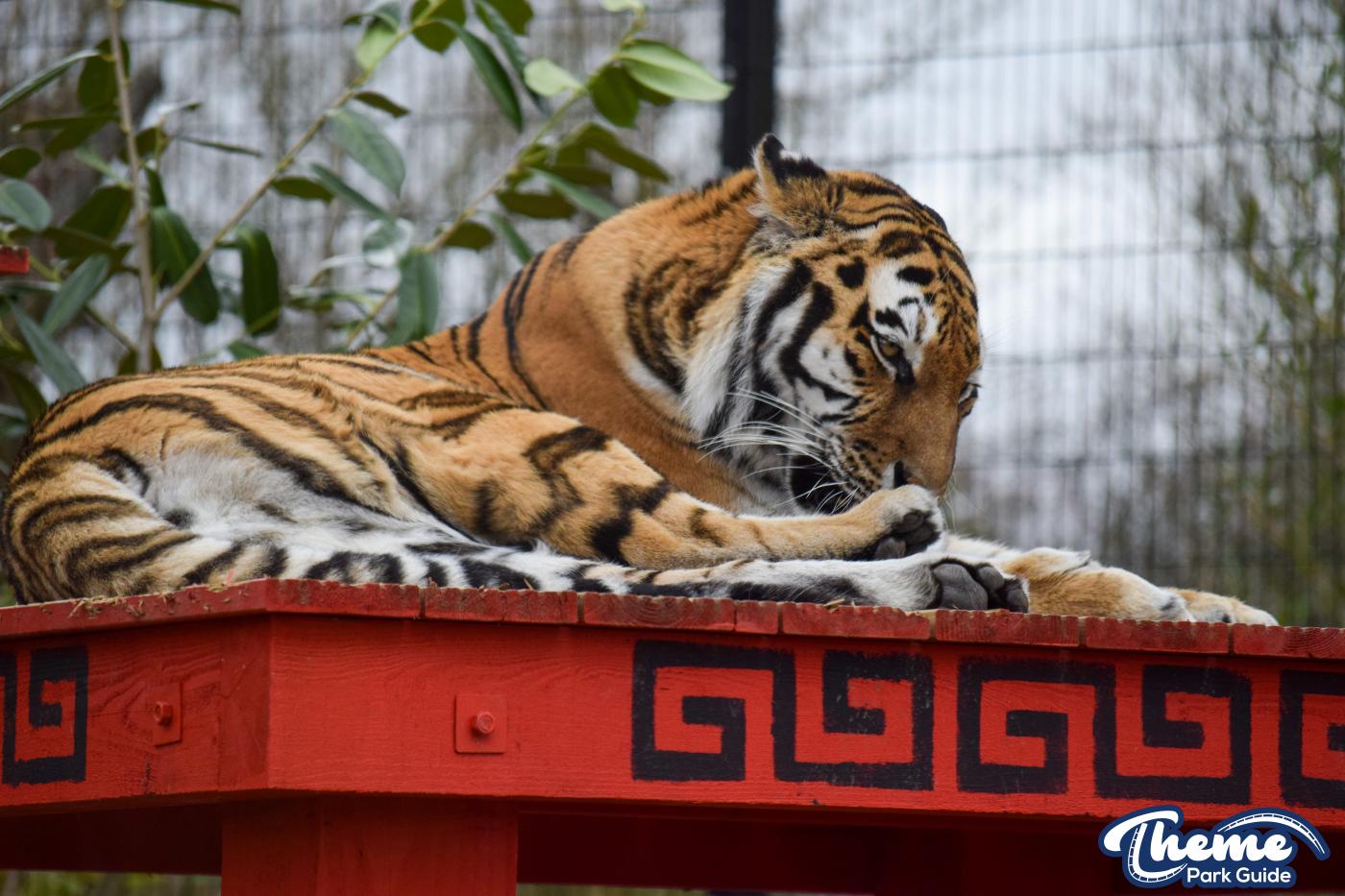 Chessington Zoo - Chessington World Of Adventures