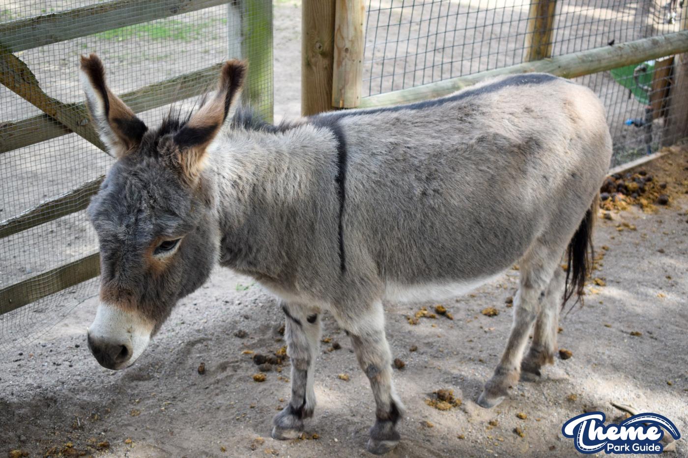 Chessington Zoo - Chessington World Of Adventures