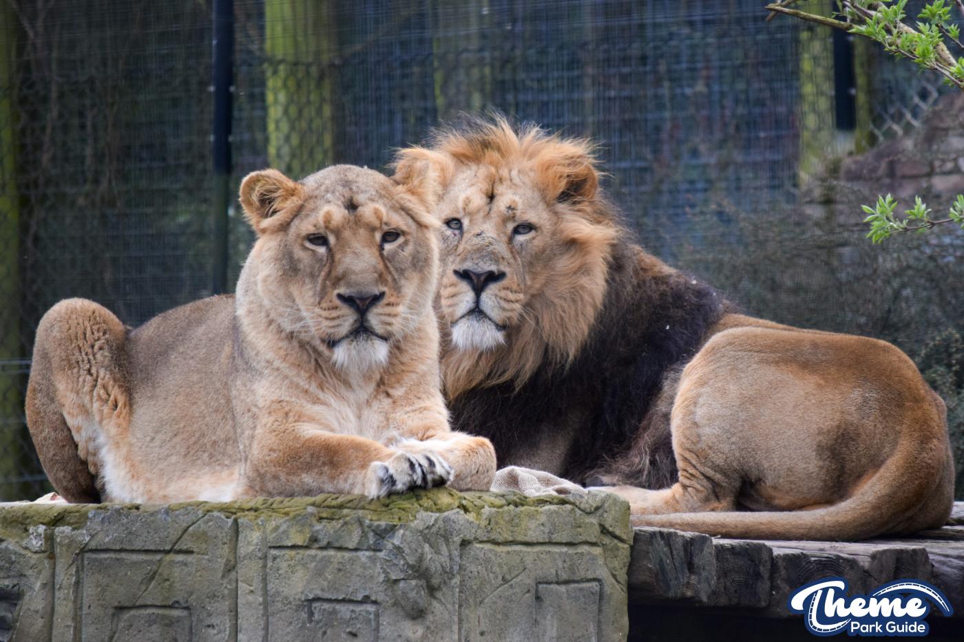 Chessington Zoo - Chessington World Of Adventures