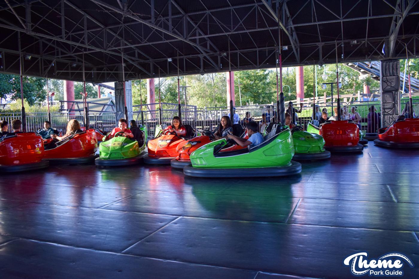 King Pigs Wild Hog Dodgems -