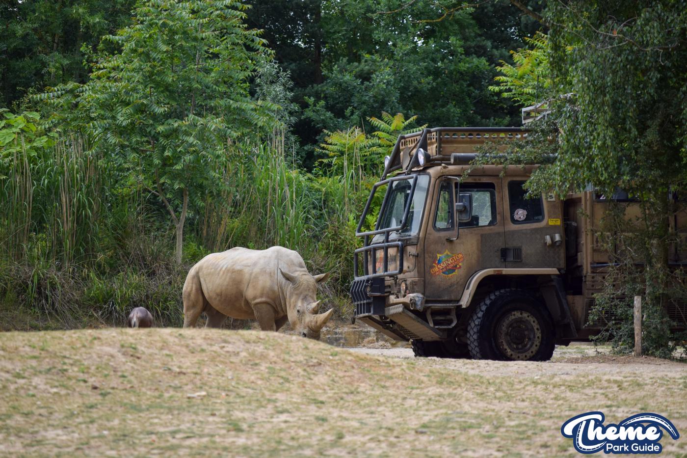 Zufari - Chessington World Of Adventures