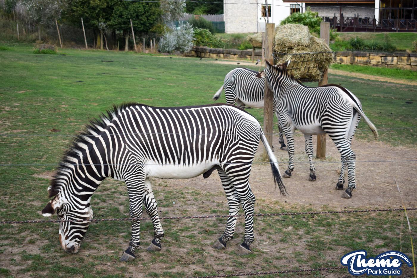 Chessington Zoo - Chessington World Of Adventures