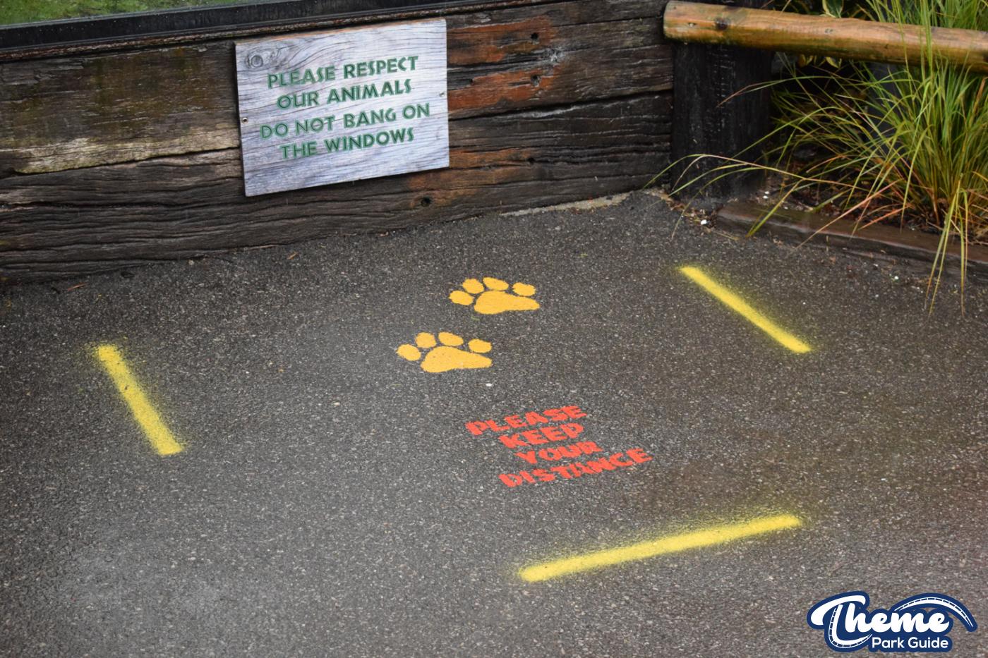 Chessington Reopens Zoo After Coronavirus Closure