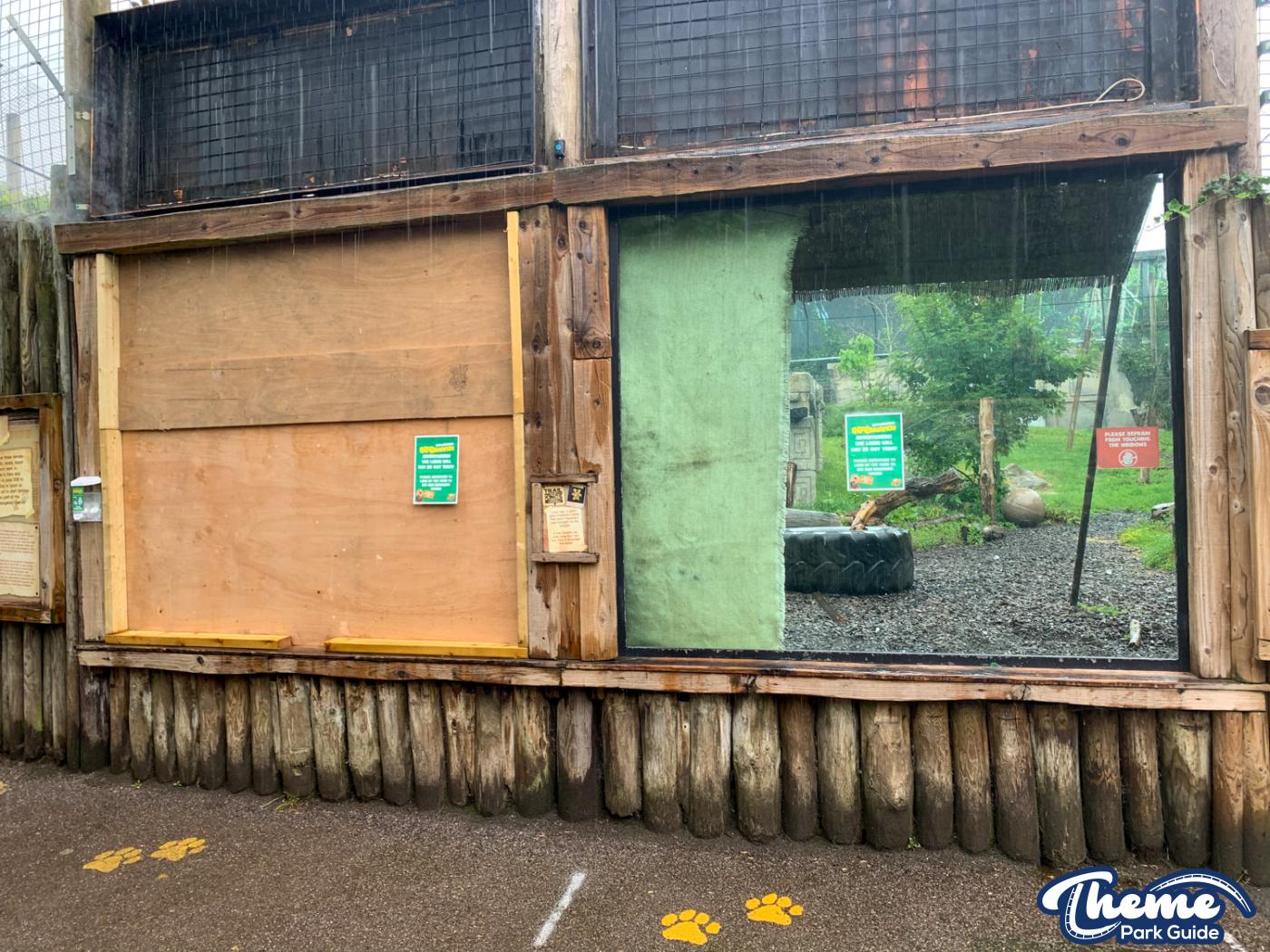Chessington Reopens Zoo After Coronavirus Closure