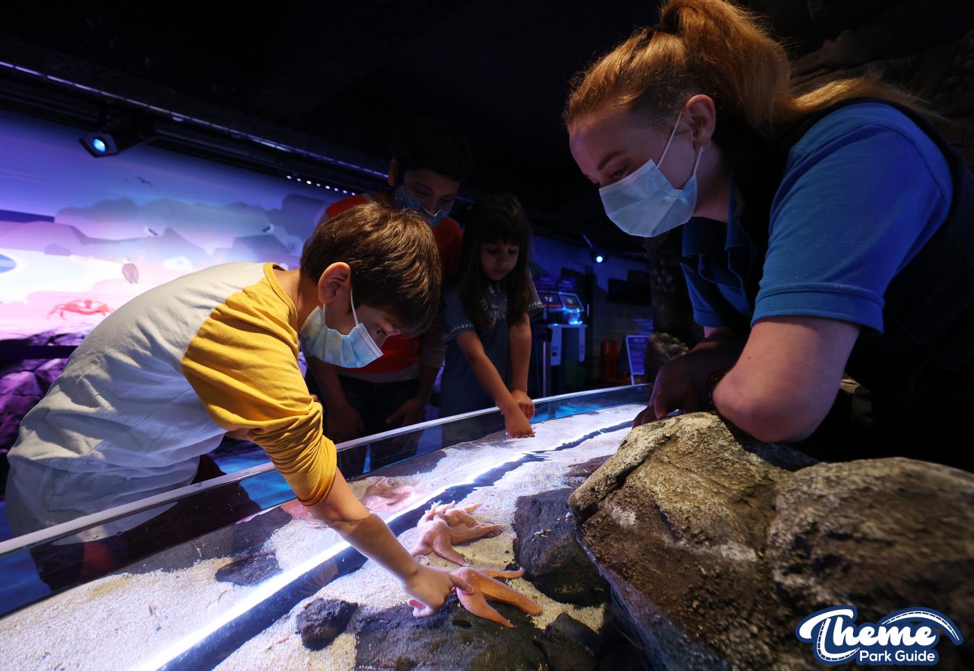 London Merlin Attractions To Reopen Following Coronavirus Closure