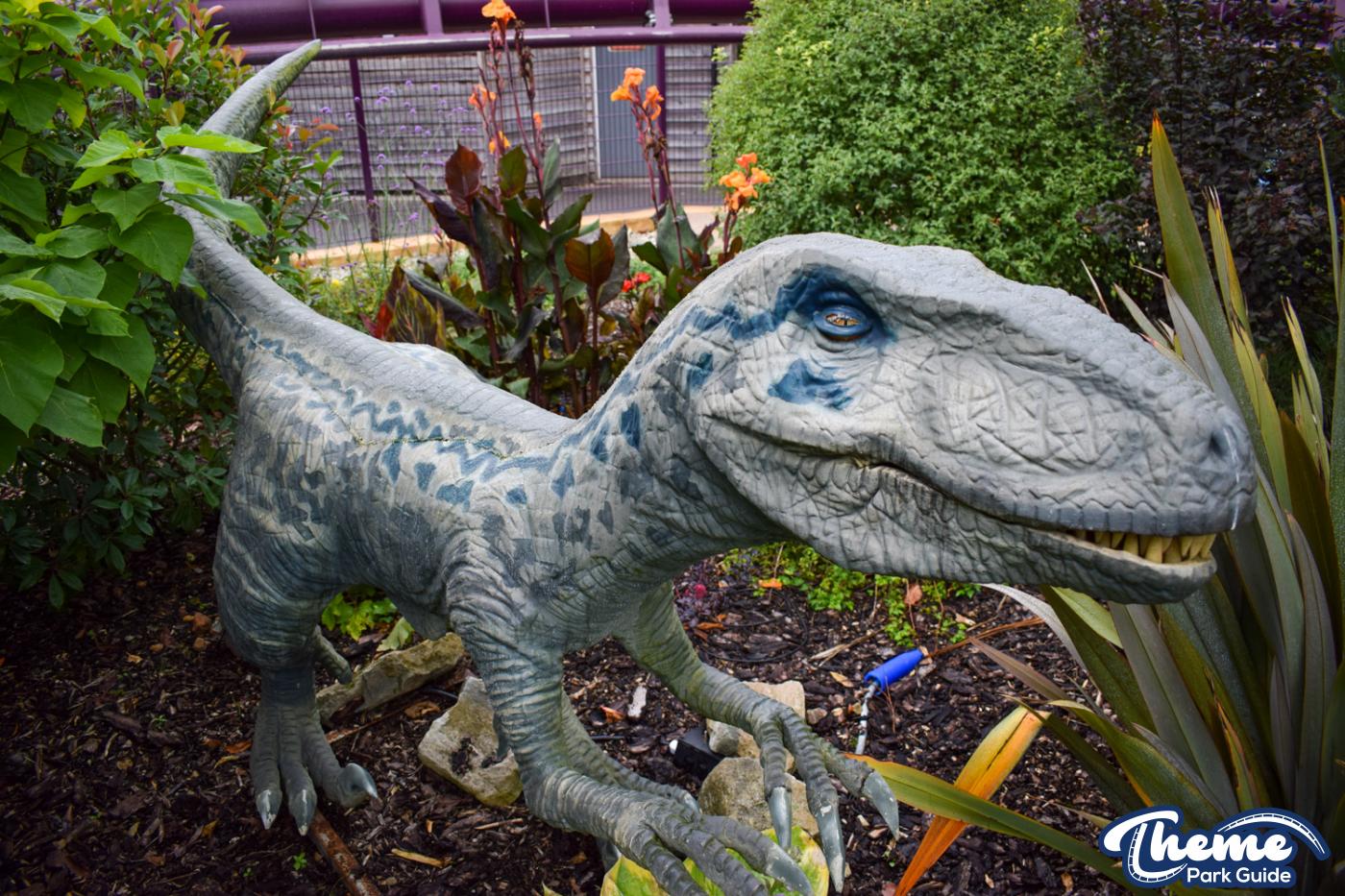Velociraptor - Lost Kingdom