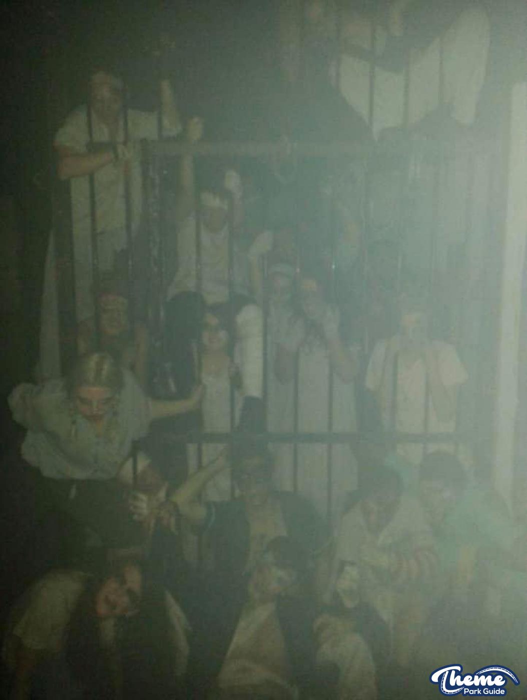 The Asylum -