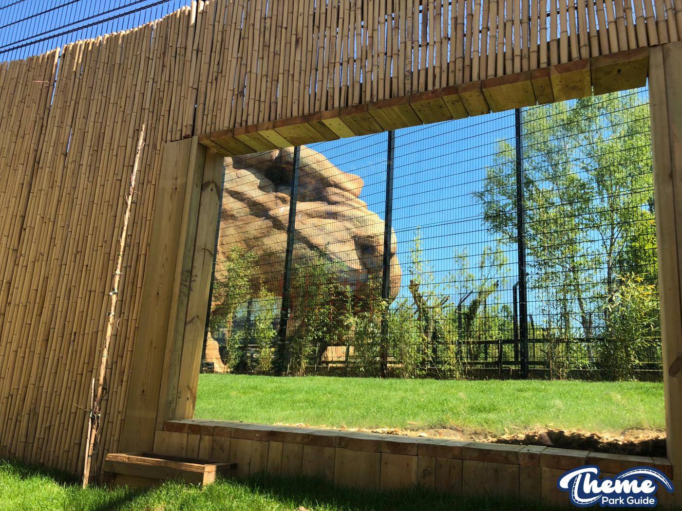 Land of the Tiger Opens At Chessington World Of Adventures