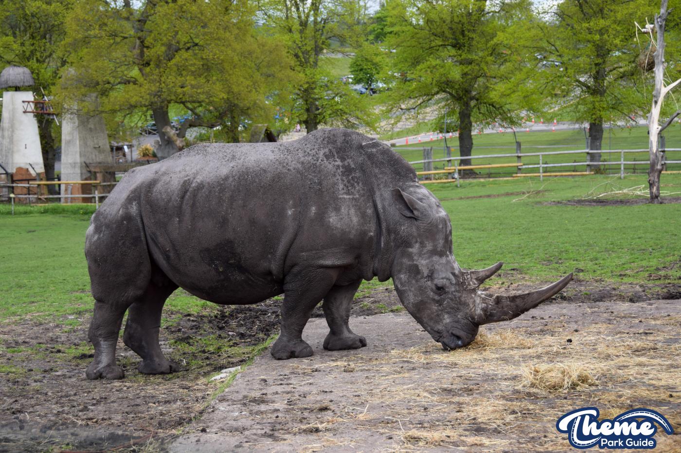 West Midland Safari Park - West Midland Safari Park