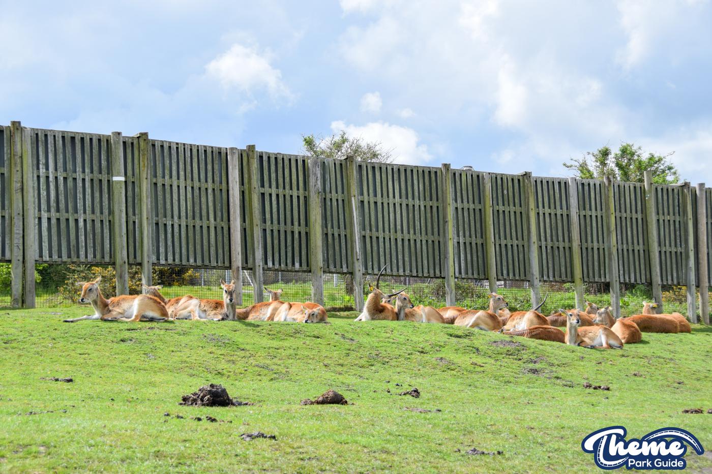 West Midland Safari Park - West Midland Safari Park