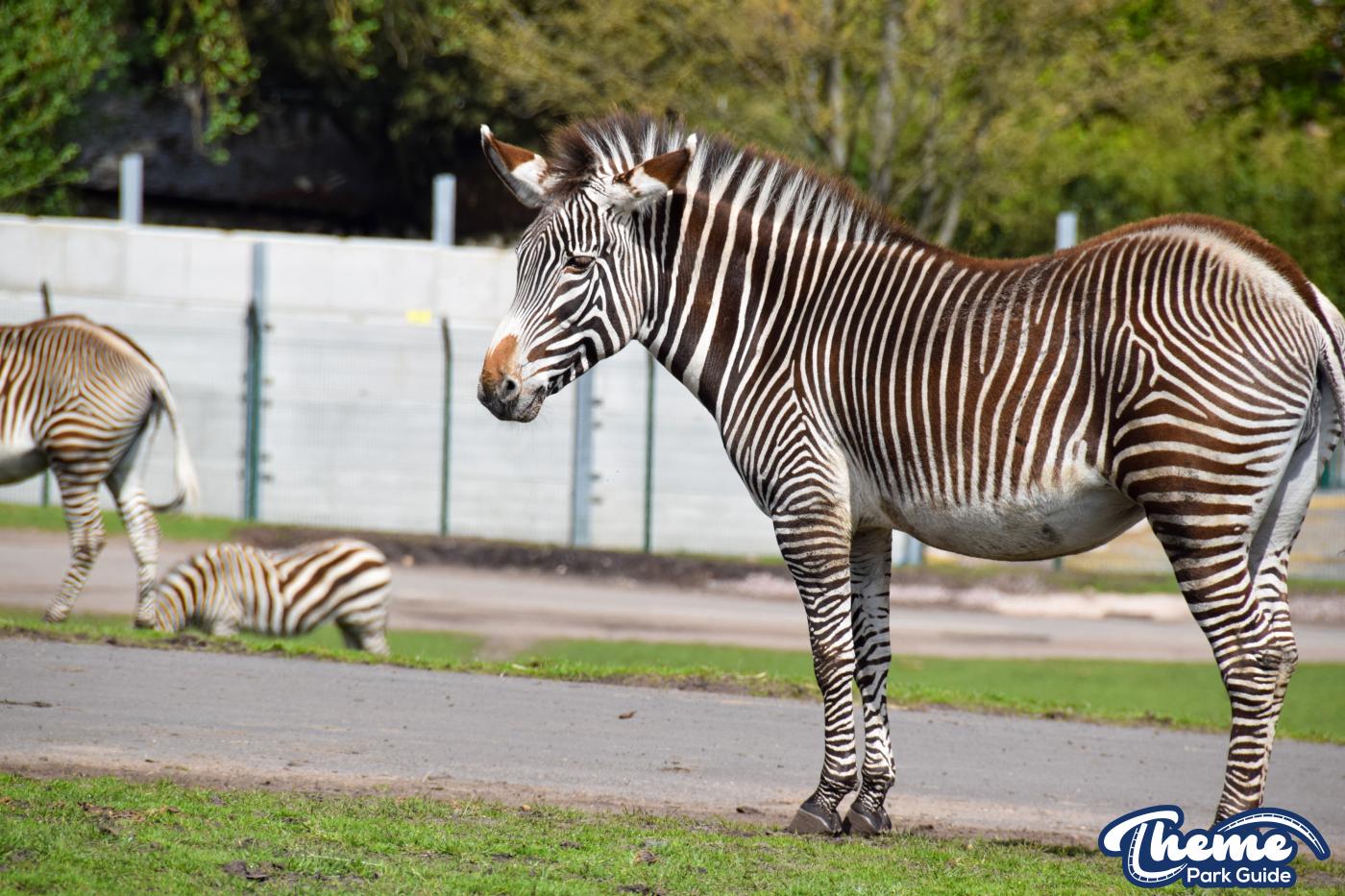 West Midland Safari Park - West Midland Safari Park