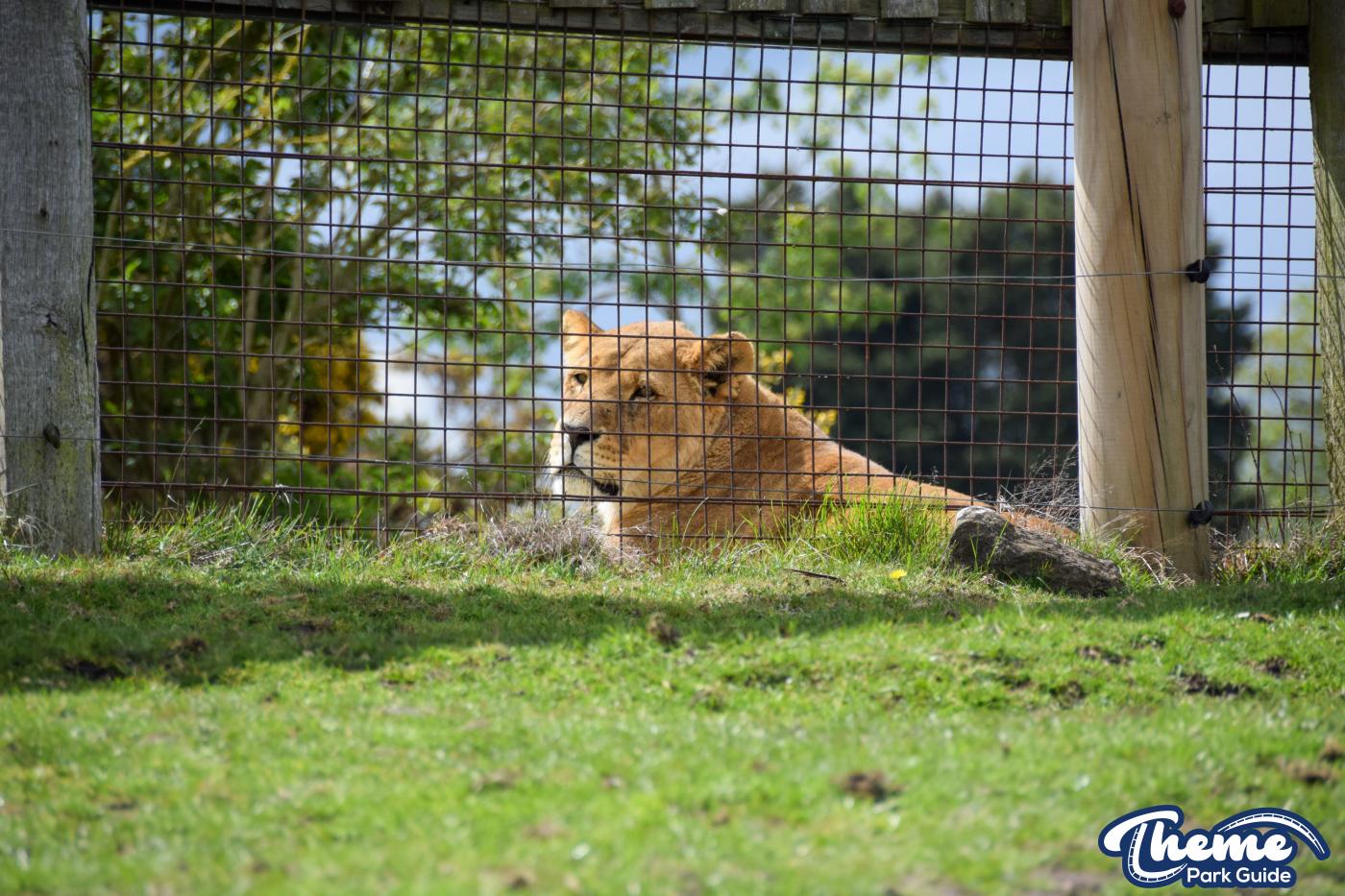 West Midland Safari Park - West Midland Safari Park
