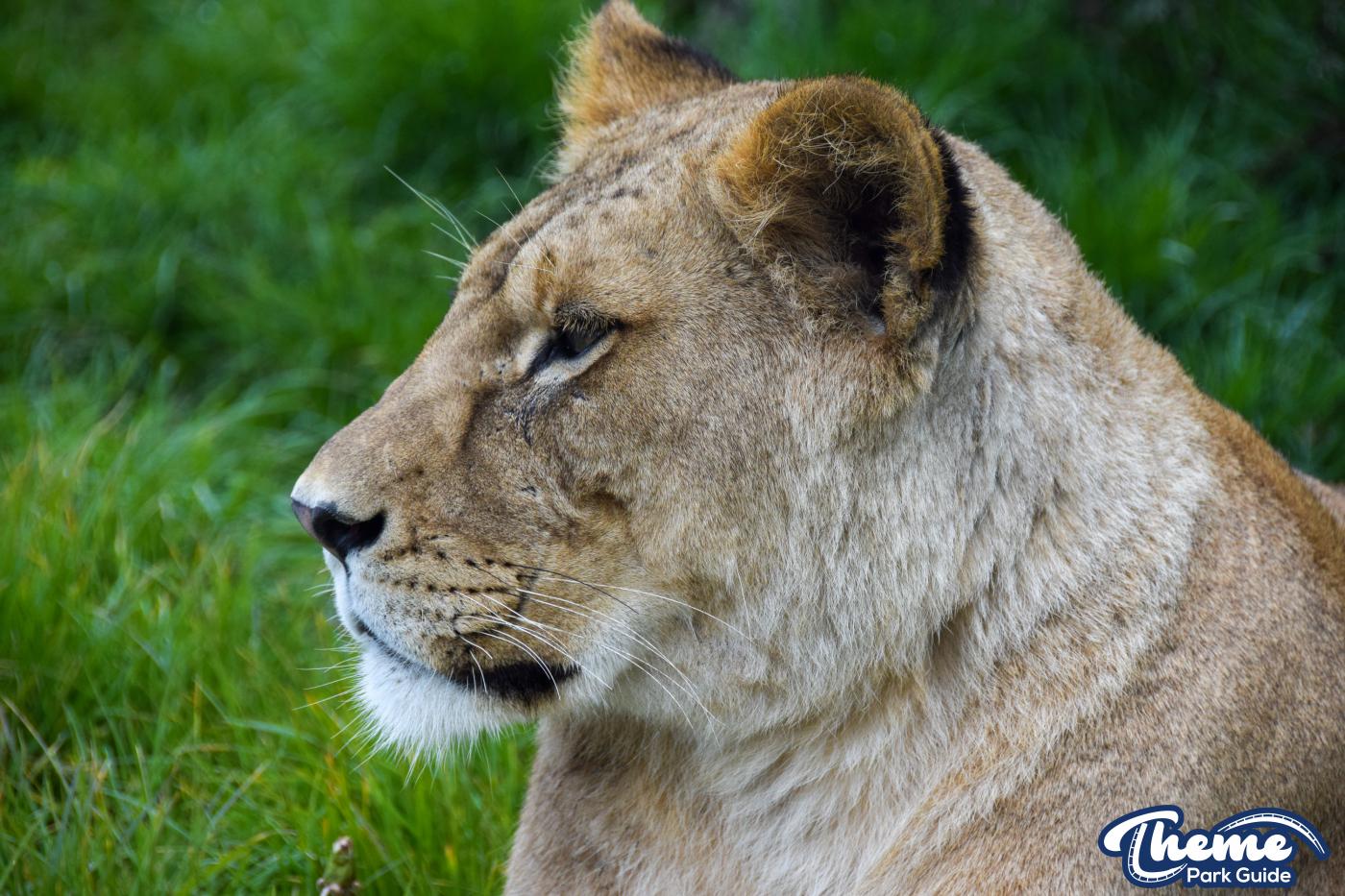 West Midland Safari Park - West Midland Safari Park