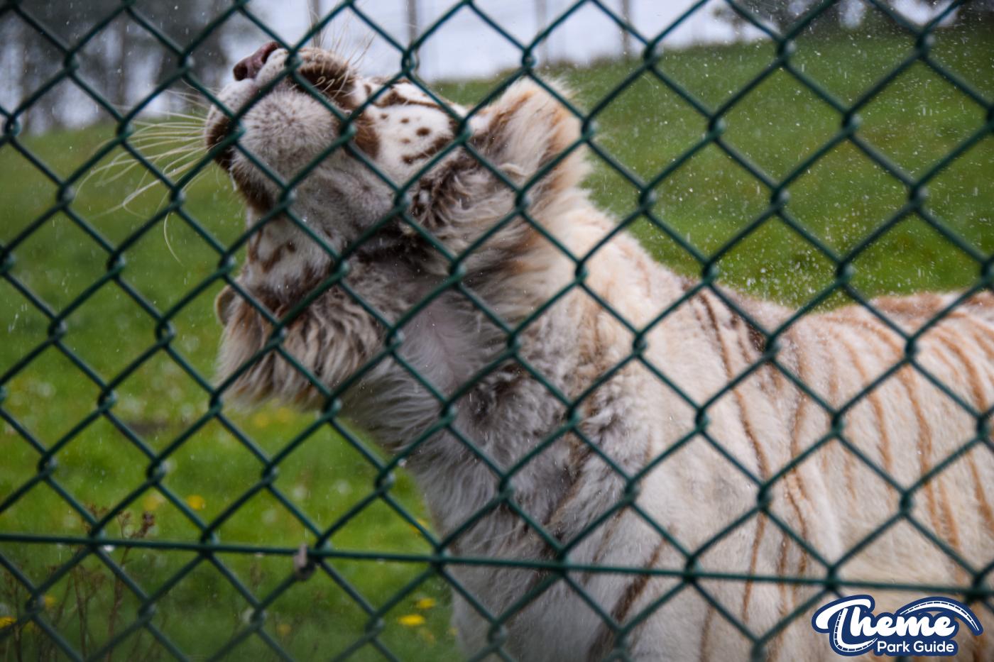 West Midland Safari Park - West Midland Safari Park