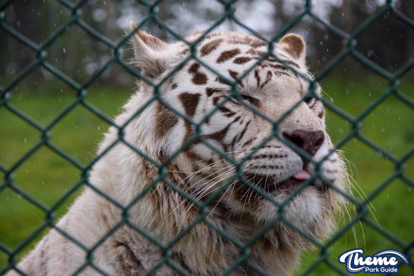 West Midland Safari Park - West Midland Safari Park