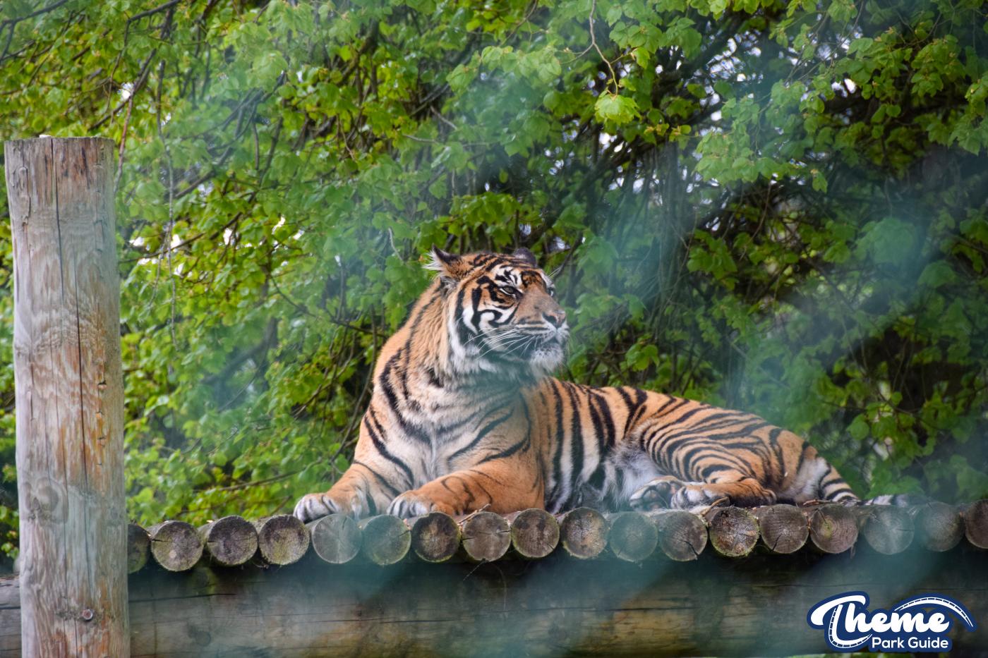West Midland Safari Park - West Midland Safari Park