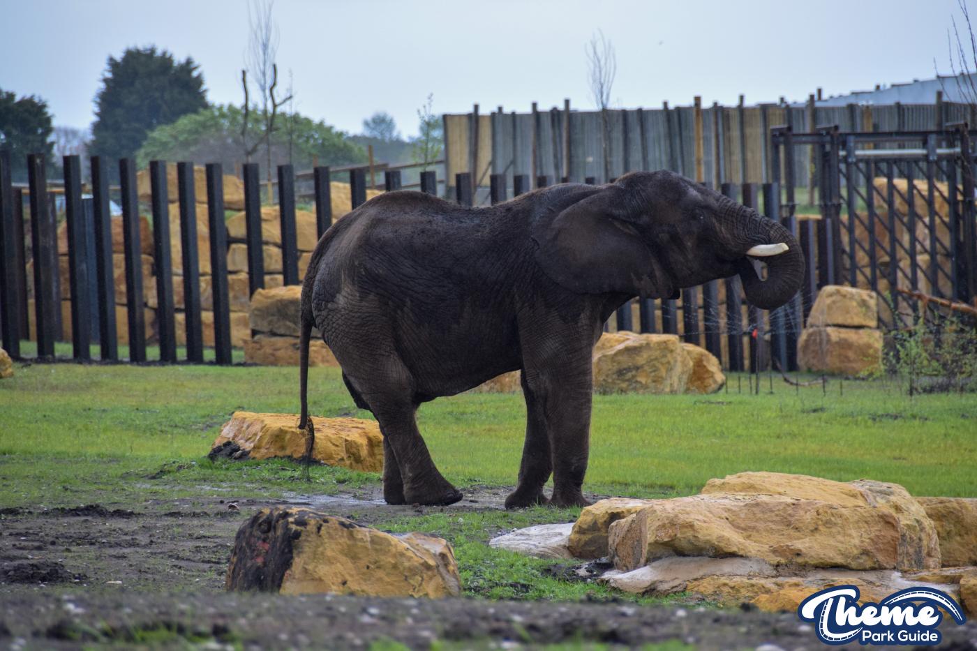 West Midland Safari Park - West Midland Safari Park