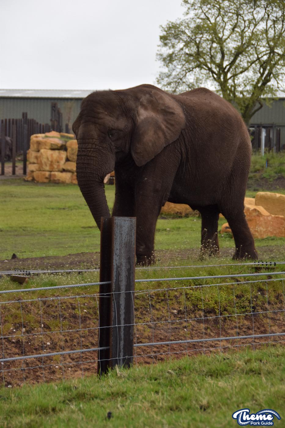West Midland Safari Park - West Midland Safari Park