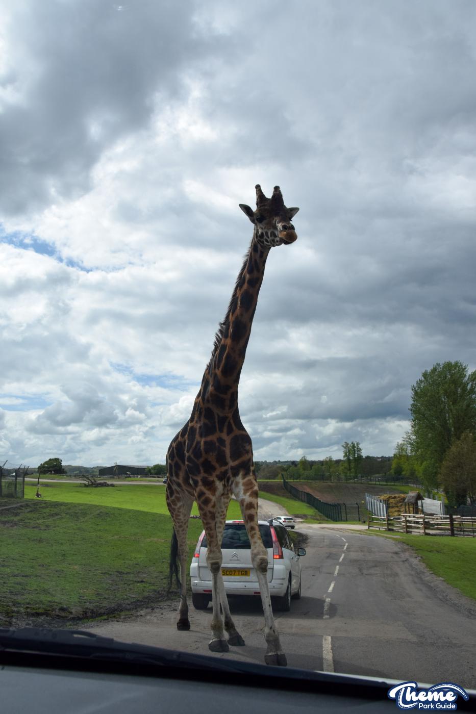 West Midland Safari Park - West Midland Safari Park