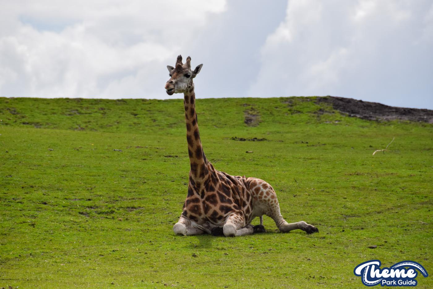 West Midland Safari Park - West Midland Safari Park