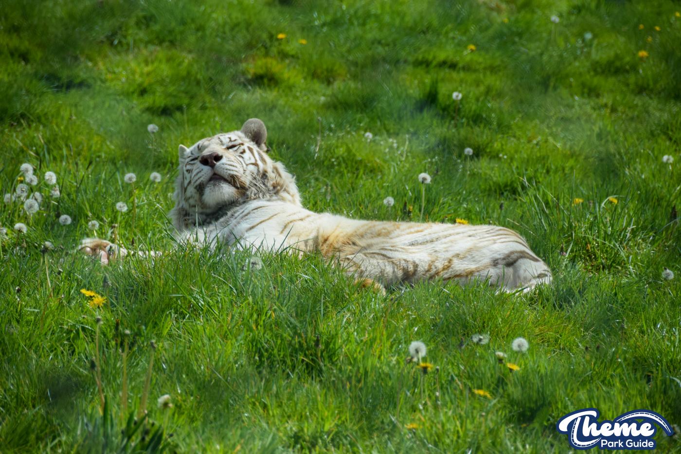 West Midland Safari Park - West Midland Safari Park